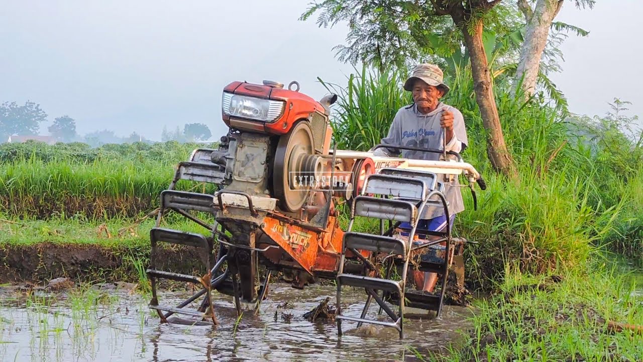 Охладите! Это старая, но все еще страстная вспашка земли с рисовыми тракторами