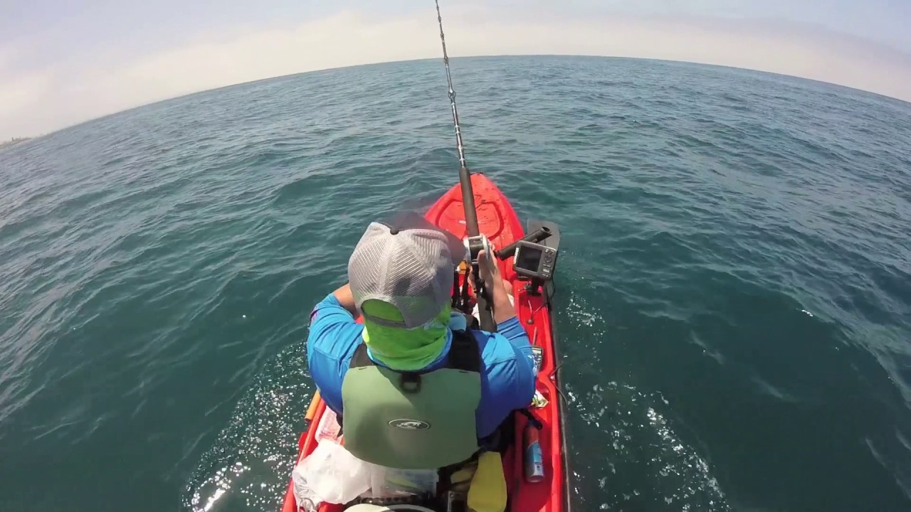 Kayak Fishing La Jolla Early June 2017 Yellowtail Release YouTube