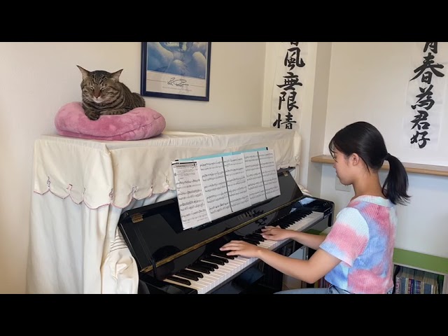 The Power of Smile KOKIA ピアノ 〜猫と一緒〜 - YouTube