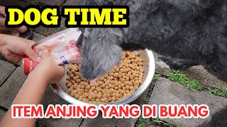 UPDATE SI ITEM ANJING YANG DIBUANG DI PET SHOP KITA KASI DOG TIME ! by Putra Fajar 88 523 views 1 month ago 7 minutes, 42 seconds