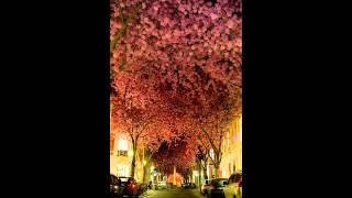 Ah There by Columbia Orchestra
