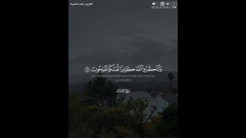 ﴿.. واصبروا إن الله مع الصابرين﴾ | القارئ: راشد الحليبة