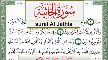 سورة الجاثية شيرزاد عبد الرحمن طاهر Surah Al Jathia Sherzad Taher برواية حفص عن عاصم