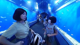 跟著我們一起逛超大水族館｜大阪海遊館