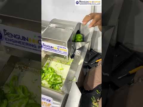 Multifunction Vegetable Cutter Demonstration Video 2 video thumbnail