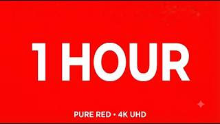 1 Hour Pure Red Screen | Bright Red Background | 4K UHD