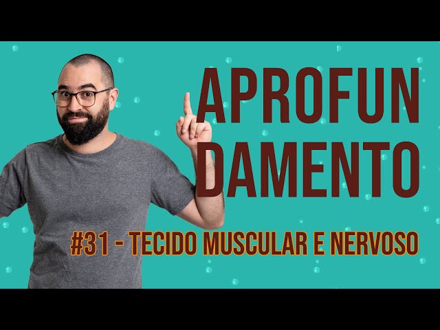 Aprofundamento | Semana 31 - Tecido muscular e nervoso