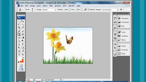 Chapter 7 - Part 3 - Clone Stamp Tool | Class 8 Computer