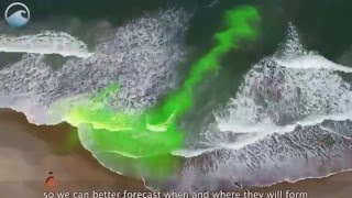 Rip Current Science