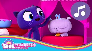 Uyu Küçük Frookie True Ve Gökkuşağı Krallığı Çocuklar Için Şarkılar - Cartoon Networkte Cn