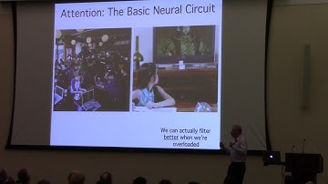 Steven Luck - Attention and Working Memory in Health and Disease