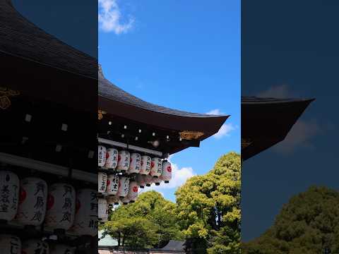The BEST city of visit in Japan!