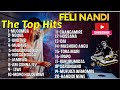 Feli Nandi Best Hit Playlist 2023 (Feli Nandi Viral Hits By Dj Scar)