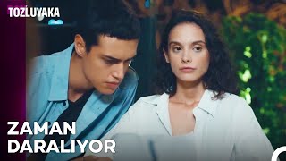 Zeyno Biraz Daha Pozitif Ol Güzelim - Tozluyaka