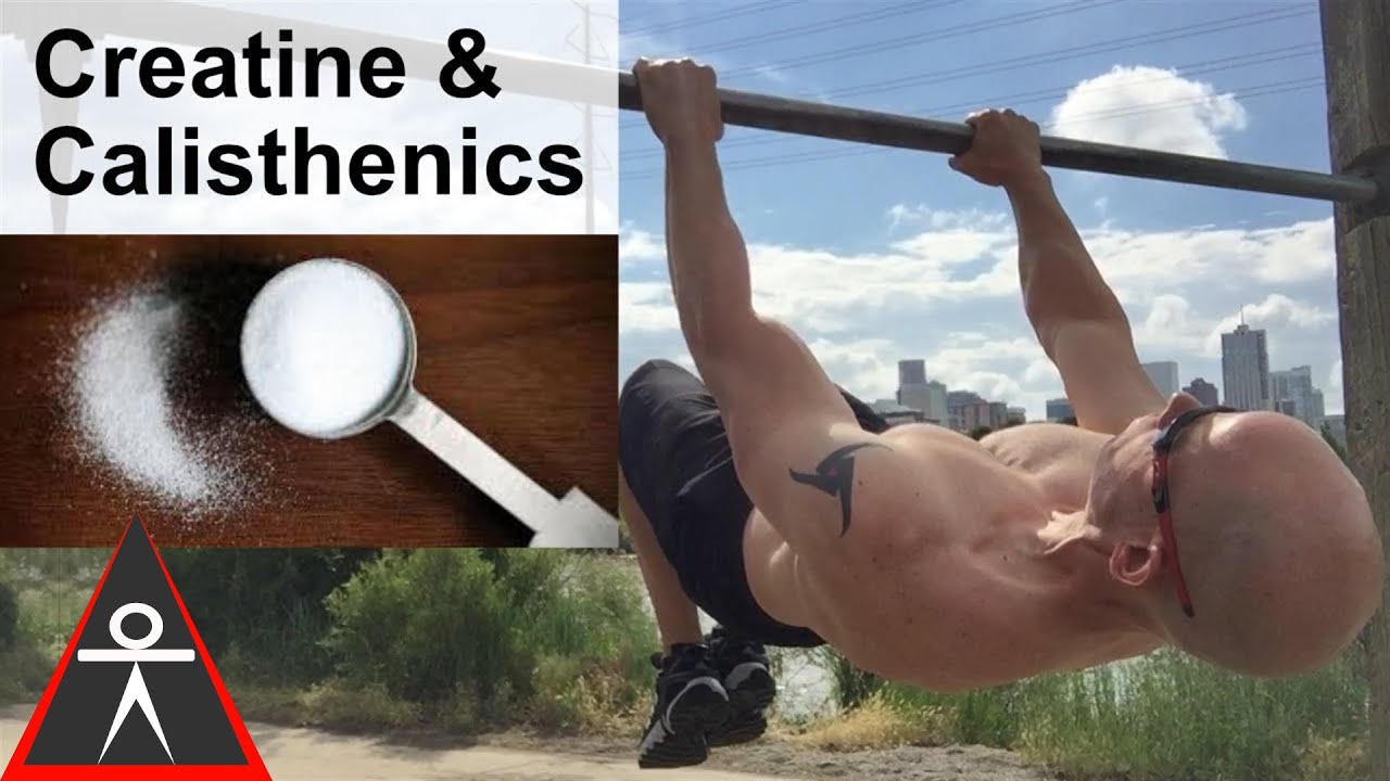 bodyweight training results Is Creatine Good for Calisthenics?