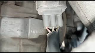 Honda Accord engine number, chassis number and chassis plate location