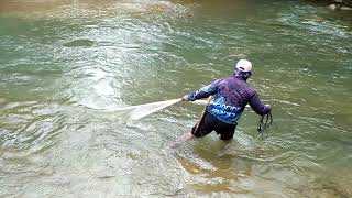 Menjala Ikan semah di Sungai Kecil Dangkal Air Jernih, Fishing Net,Traditional.