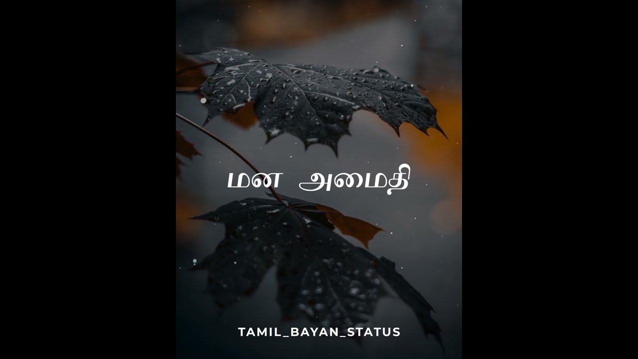 Tamil bayan status