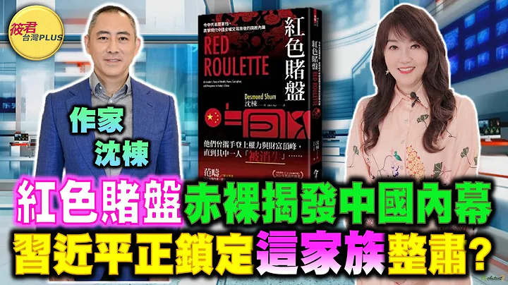 【請君入座】出身卑微段偉紅體認與黨利益合拍才能生意興隆！ / 揭中國金錢交易內幕 沈棟為救妻？救溫家寶？｜20230313｜@taiwanplus0709 - 天天要聞
