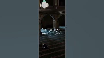 تلاوة من سورة النساء للقارئ عماد التويجري