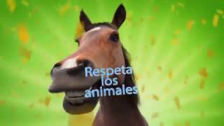 Sonido del caballo relinchando