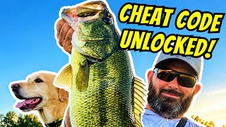 Lake Fork Bass Fishing Tips That Work Right Now! New CHEAT CODE Unlocked!