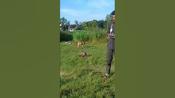 Hand launch my fpv drone / so fast #drone #fpv with flysky fs-i6 transmitter