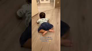 OMG 😀😀😀😀😀😀. This is sweet to watch. Walk on all fours #shortfeed #shortvideo #trynottolaugh