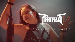 TRIBUS - Dama de la Noche (Official Music Video)