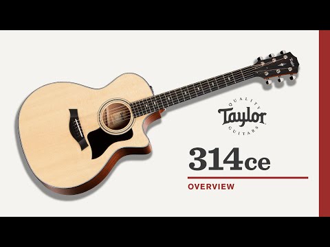 Taylor 314ce Grand Auditorium V Class Bracing