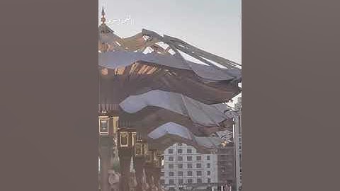 سورة المنافقون - للعلامة المحدث فوزي الاثري حفظه الله