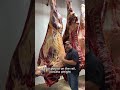 Huge Bison getting ready to meet the butchers blade butcher shorts mp3
