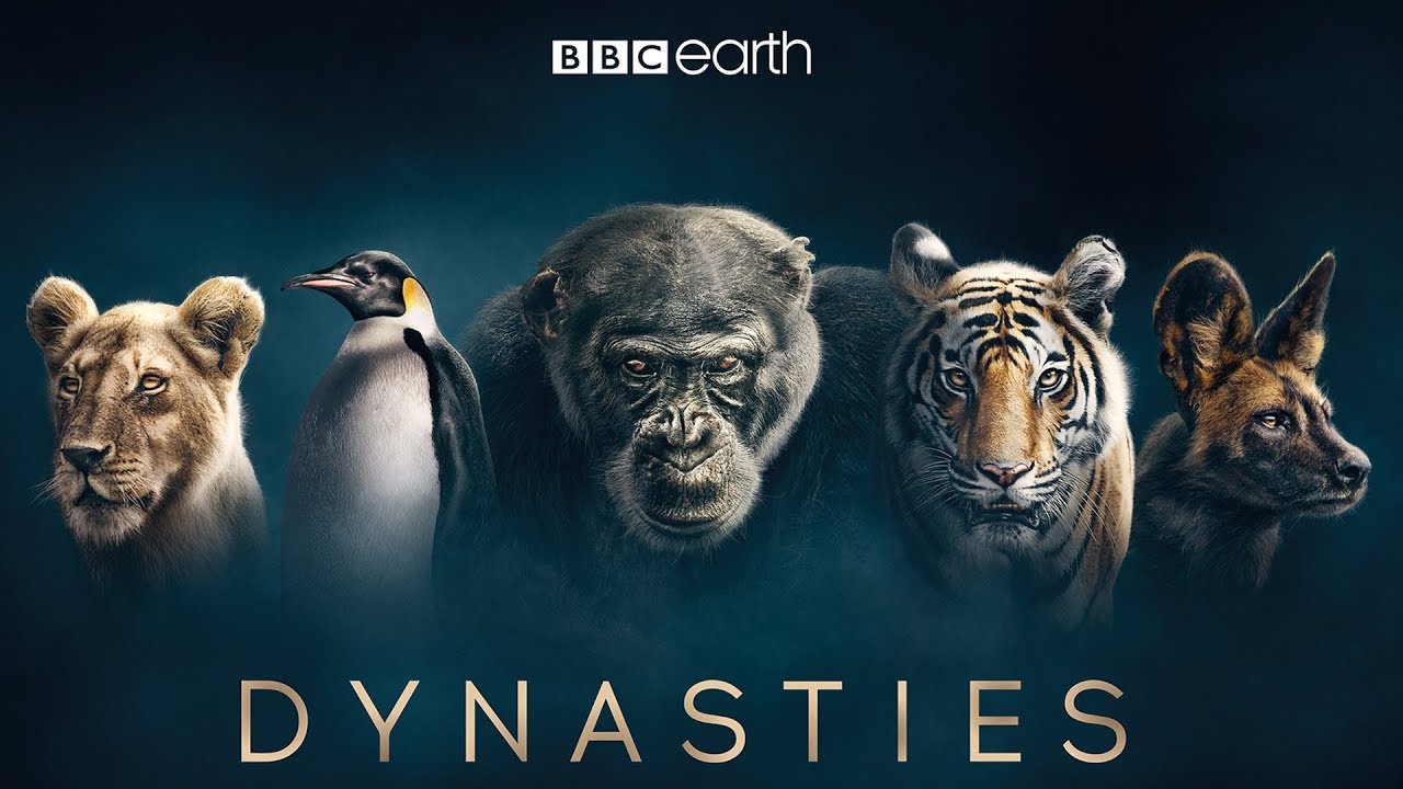 Dynasties First Look Trailer  New David Attenborough Series  BBC Earth
