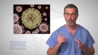 Zika cause and effect