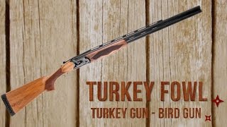 ATI Gives You Two Guns For The Price Of One