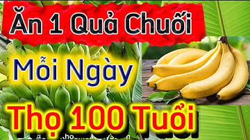 Bí Quyết Sống Thọ Từ Quả Chuối – Loại Trái Cây Rẻ Tiền Nhưng Công Dụng Bất Ngờ! #songkhoe #dinhduong