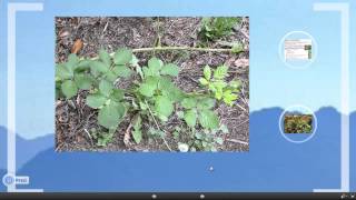 Service Learning Project Video