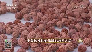 20171019 致富经  半袋核桃让他纯赚110万后