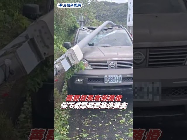 薔琵狂風吹倒路燈　倒下瞬間砸扁路邊轎車｜民視新聞｜