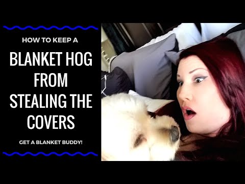 HOW TO KEEP YOUR PARTNER FROM STEALING THE COVERS I Blanket Buddy Demo and Review