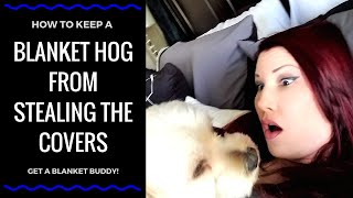 HOW TO KEEP YOUR PARTNER FROM STEALING THE COVERS I Blanket Buddy Demo and Review