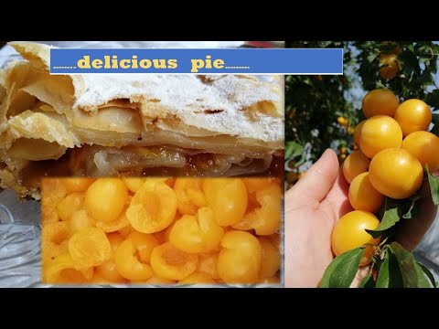 Video: Cum Se Face O Delicioasă Plăcintă Cu Gem De Coacăze