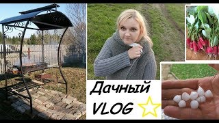 Дачный влог /Я снова хожу/ Отдыхаем/ Дачный влог /Я снова хожу/ Отдыхаем/