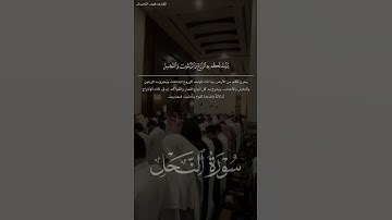 #تلاوة_خاشعة بصوت محمد اللحيدان😴🎧 #اكسبلور #خشوع #قرآن #دويتو #راحة_نفسية #foryou