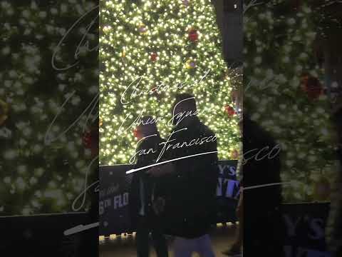 Wideo: Union Square w San Francisco w Boże Narodzenie: fotowycieczka