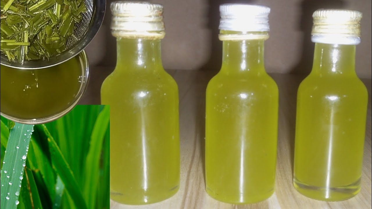 How To Make Lemongrass Oil For Hair Growth And Pain Relief! - YouTube