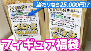 当たりなら25000円のフィギュアが入ってるらしい福袋はホントにお得なのか開けてみた