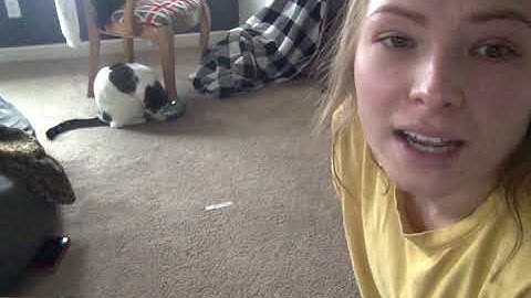 Phys133 Lab #7 Final Lab