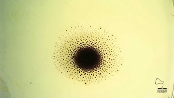 Ferrofluid - Voronoi form