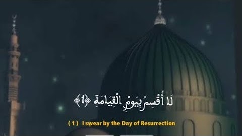 **لا أقسم بيوم القيامة ولا أقسم بالنفس اللوامة**#حالات واتس آب 🌴 قرآن كريم 🍀